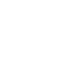 Icona Sistemi di Sicurezza